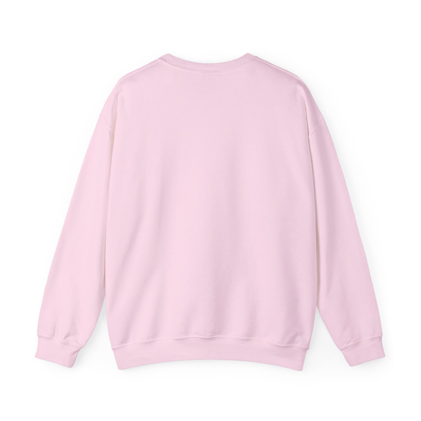 Sweatshirt - 'Don't Wait for Recognition' Pink & Blue